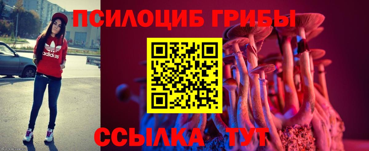 Галлюциногенные грибы мухоморы Томск